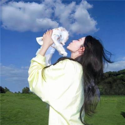 夫人她在线直播救贺先生