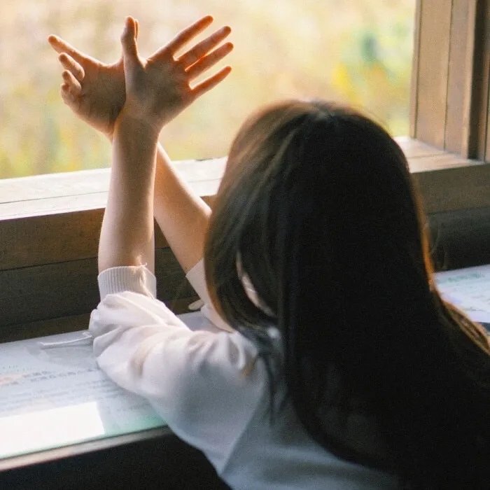 小蚂蚁之环球大冒险